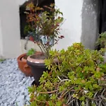 Elena's House *