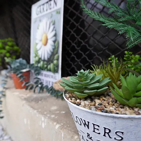 Apartament Elena's House *