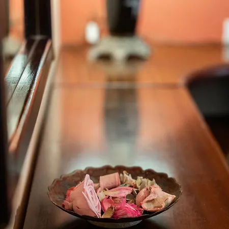 Apartament Elena's House Polistilon