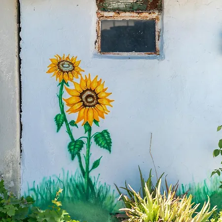 Elena's House Apartament *