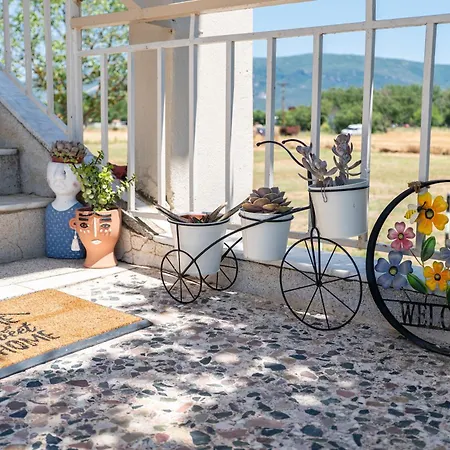 Elena's House Polistilon