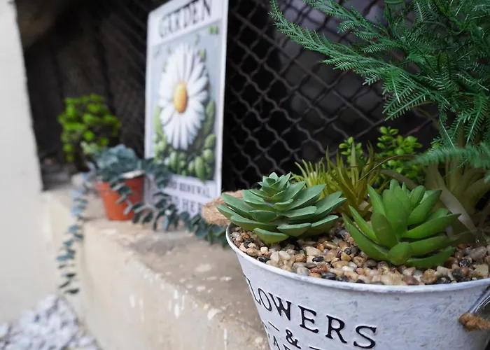 公寓 Elena's House *