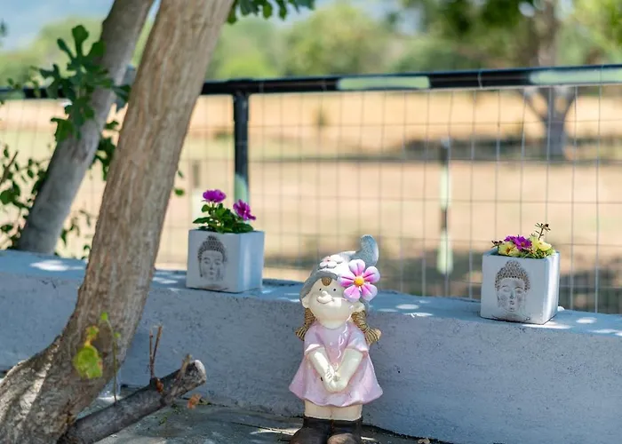 Elena's House Polistilon