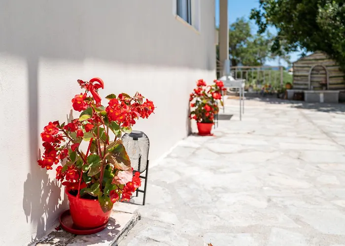 Elena's House 公寓